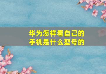 华为怎样看自己的手机是什么型号的