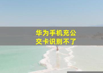 华为手机充公交卡识别不了