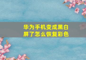 华为手机变成黑白屏了怎么恢复彩色