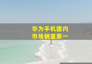 华为手机国内市场销量第一