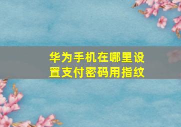 华为手机在哪里设置支付密码用指纹