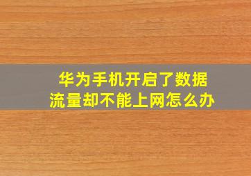 华为手机开启了数据流量却不能上网怎么办