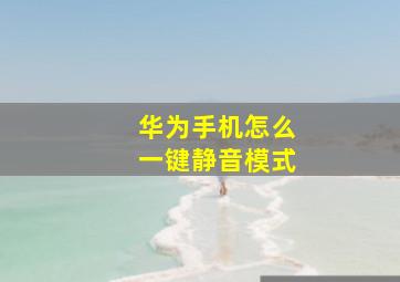 华为手机怎么一键静音模式