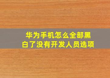 华为手机怎么全部黑白了没有开发人员选项