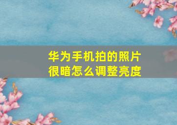 华为手机拍的照片很暗怎么调整亮度