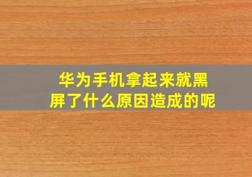 华为手机拿起来就黑屏了什么原因造成的呢