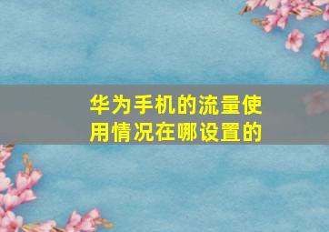 华为手机的流量使用情况在哪设置的