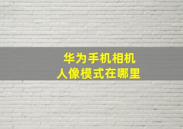 华为手机相机人像模式在哪里