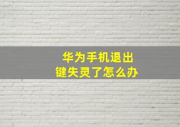 华为手机退出键失灵了怎么办