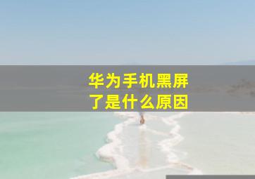 华为手机黑屏了是什么原因