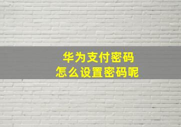 华为支付密码怎么设置密码呢