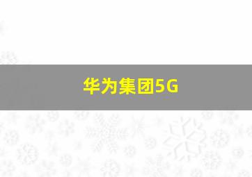 华为集团5G