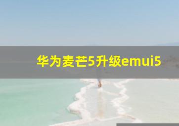 华为麦芒5升级emui5