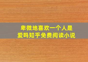 卑微地喜欢一个人是爱吗知乎免费阅读小说