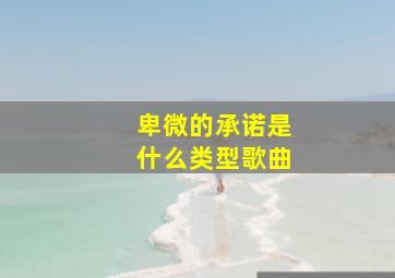 卑微的承诺是什么类型歌曲