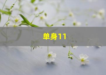 单身11