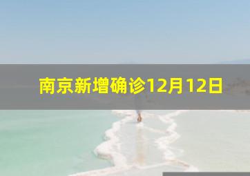 南京新增确诊12月12日