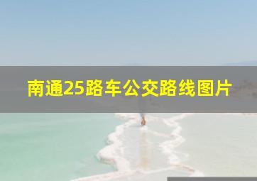 南通25路车公交路线图片