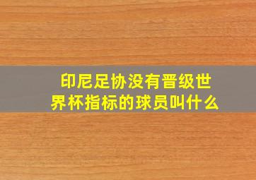 印尼足协没有晋级世界杯指标的球员叫什么