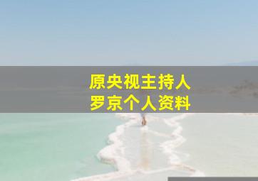 原央视主持人罗京个人资料