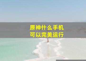 原神什么手机可以完美运行