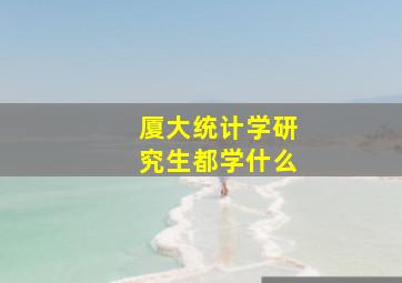 厦大统计学研究生都学什么