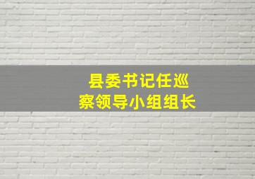 县委书记任巡察领导小组组长