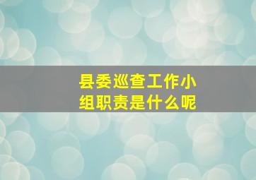 县委巡查工作小组职责是什么呢