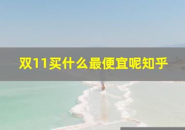 双11买什么最便宜呢知乎