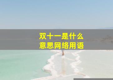 双十一是什么意思网络用语