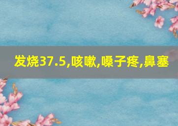 发烧37.5,咳嗽,嗓子疼,鼻塞