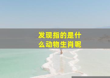 发现指的是什么动物生肖呢