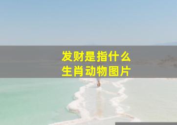 发财是指什么生肖动物图片