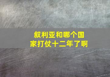 叙利亚和哪个国家打仗十二年了啊