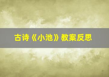 古诗《小池》教案反思