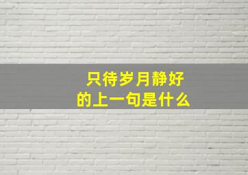 只待岁月静好的上一句是什么