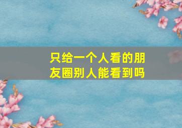 只给一个人看的朋友圈别人能看到吗