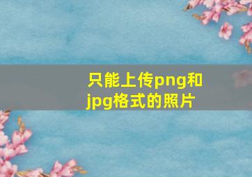 只能上传png和jpg格式的照片