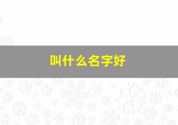 叫什么名字好