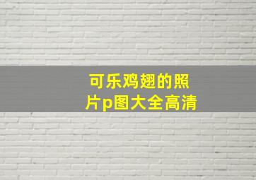 可乐鸡翅的照片p图大全高清