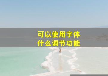 可以使用字体什么调节功能