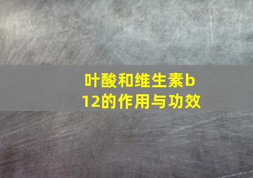 叶酸和维生素b12的作用与功效