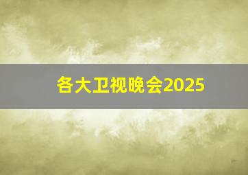 各大卫视晚会2025