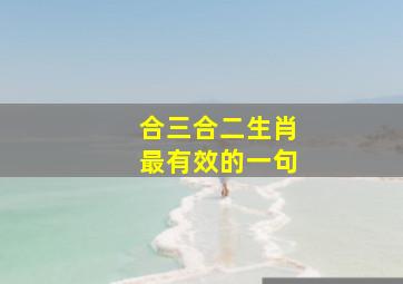 合三合二生肖最有效的一句