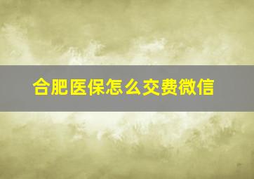 合肥医保怎么交费微信