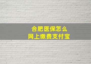 合肥医保怎么网上缴费支付宝