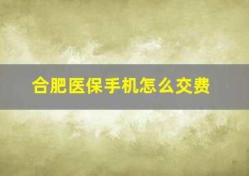 合肥医保手机怎么交费