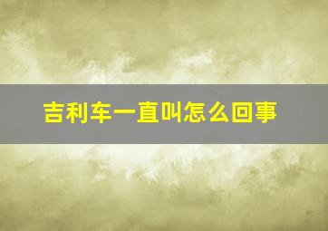 吉利车一直叫怎么回事