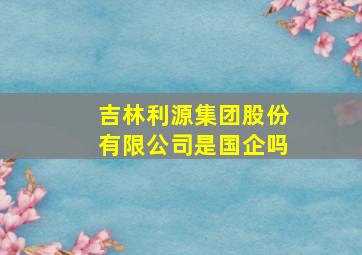 吉林利源集团股份有限公司是国企吗