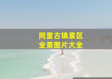 同里古镇景区全景图片大全